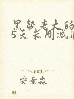 黑帮老大的365天未删减版