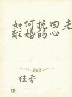 如何挽回老公要离婚的心封面