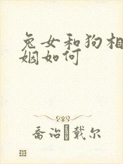 兔女和狗相配婚姻如何