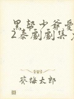 黑帮少爷爱上我2泰剧剧集免费观看