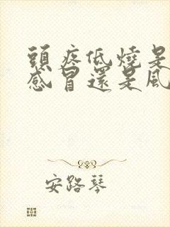 头疼低烧是风寒感冒还是风热感冒