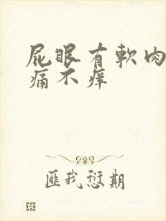 屁眼有软肉球不痛不痒