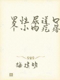 男性尿道口长了个小肉疙瘩