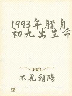 1993年腊月初九出生命运如何