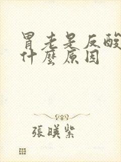 胃老是反酸水是什么原因