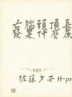 右脑头顶长白头发是什么原因