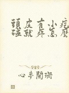 头皮有小疙瘩一碰就疼怎么回事