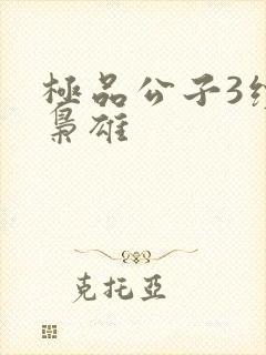 极品公子3续世枭雄