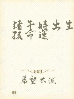 猪午时出生的男孩命运