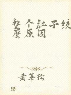 整个肚子绞痛什么原因封面