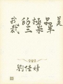 我的极品美女总裁 三米半封面