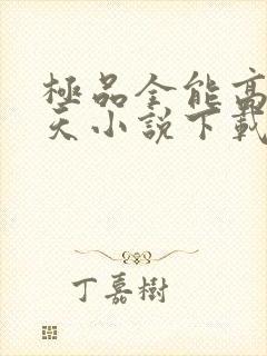 极品全能高手夏天小说下载