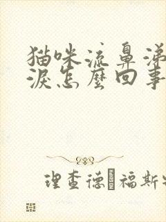 猫咪流鼻涕流眼泪怎么回事封面