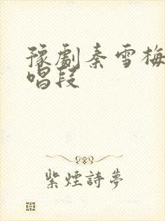 豫剧秦雪梅哭灵唱段封面