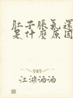 肚子胀气还放屁是什么原因