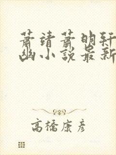 萧靖萧明轩沈若幽小说最新章节更新列表