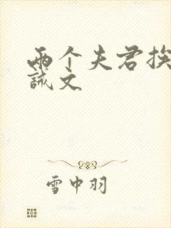 两个夫君挨打训诫文