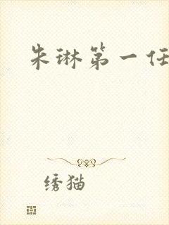 朱琳第一任丈夫