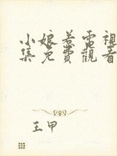 小娘惹电视剧全集免费观看