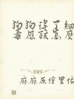 狗狗得了细小病毒应该怎么治用什么药