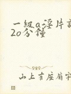 一级a淫片试看2o分钟