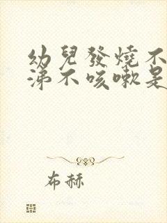 幼儿发烧不流鼻涕不咳嗽是怎么回事封面