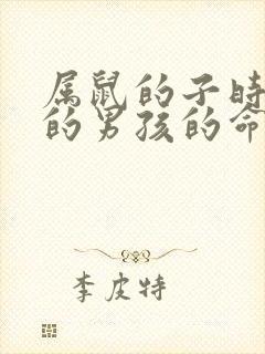 属鼠的子时出生的男孩的命运封面