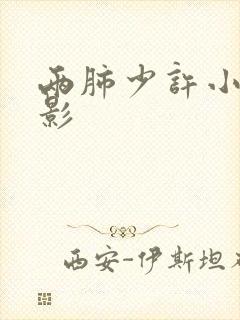 两肺少许小条索影