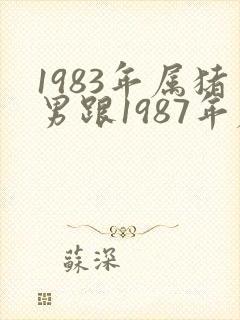 1983年属猪男跟1987年属兔女婚姻