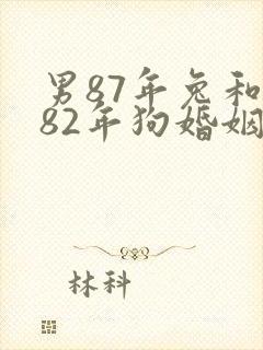 男87年兔和女82年狗婚姻相配吗封面