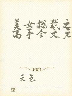 美女总裁之贴身高手全文免费阅读