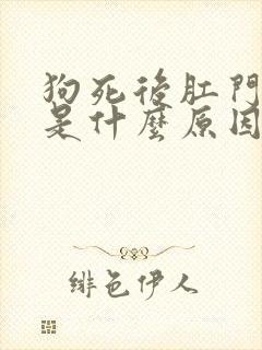 狗死后肛门出血是什么原因