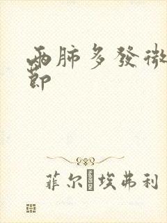 两肺多发微小结节