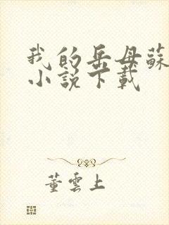 我的岳母苏沛真小说下载