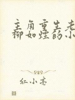 主角重生老婆叫柳如烟的小说