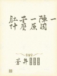 肚子一阵一阵痛什么原因