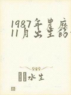 1987年农历11月出生的命运封面