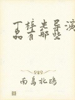 丁梓光导演的作品有哪些