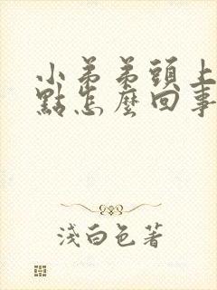 小弟弟头上有红点怎么回事封面