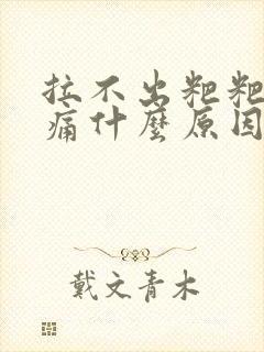 拉不出粑粑肚子痛什么原因封面