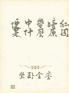 便中带暗红色血是什么原因封面