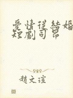 爱情从结婚开始短剧司昂