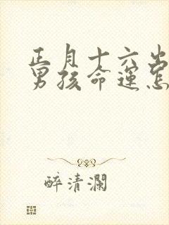 正月十六出生的男孩命运怎么样