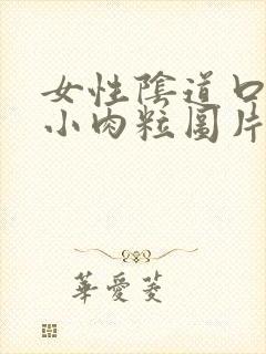 女性阴道口起了小肉粒图片