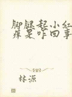 脚腿起小红疙瘩痒是咋回事