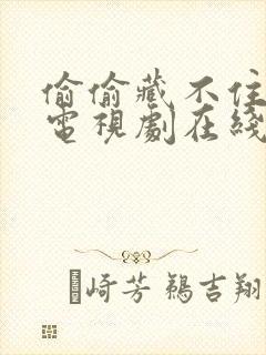 偷偷藏不住全集电视剧在线观看免费封面