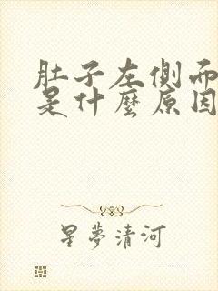 肚子左侧面疼痛是什么原因