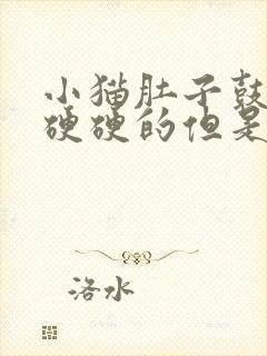 小猫肚子鼓鼓的硬硬的但是很活泼