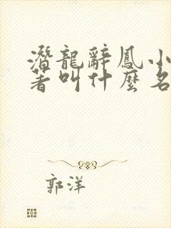 潜龙辞凤小说原著叫什么名字