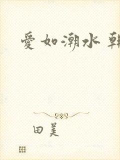 爱如潮水 韩国封面